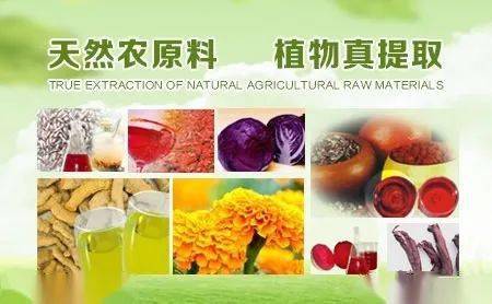 河北板块异军突起 九只上市公司股价翻番，植物提取物研发成新热点